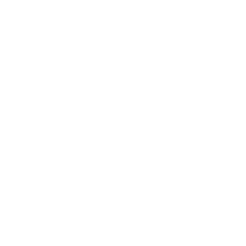 Replay any trade, bar by bar